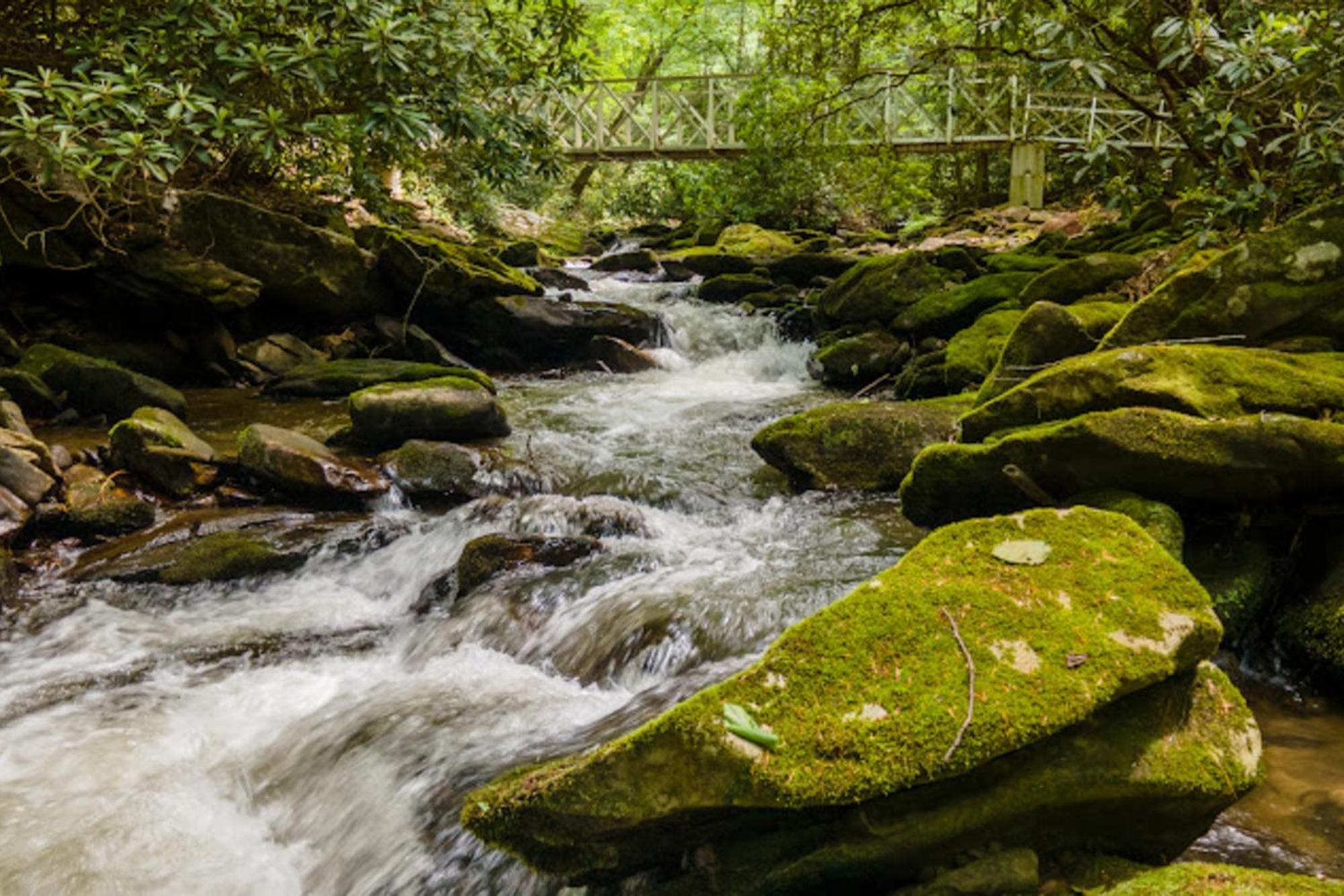 Creel Lodge At Middle Creek Otto Esterno foto